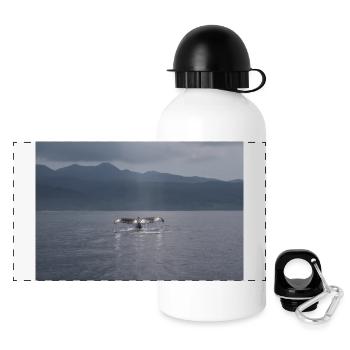 Aileron de baleine - Gourde panoramique avec couvercle 500 ml - blanc - Devant