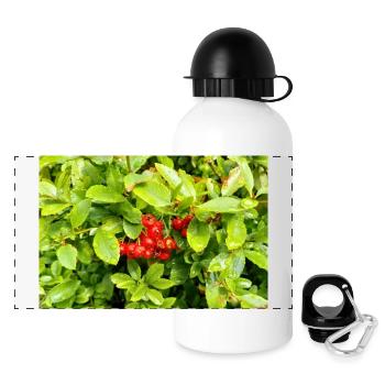Mittelmeer Feuerdorn / Pyracantha coccinea - Panorama Trinkflasche mit Deckel 500 ml - Weiß - Vorne