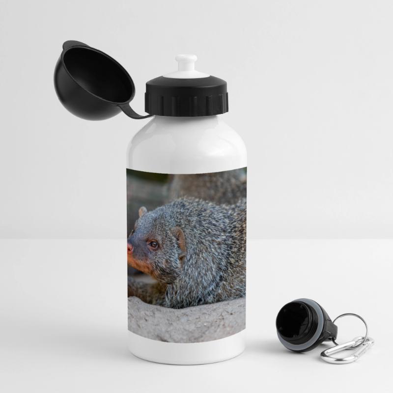 Gebänderte Manguste oder Zebramanguste Zebramanguste Panorama Trinkflasche mit Deckel 500 ml