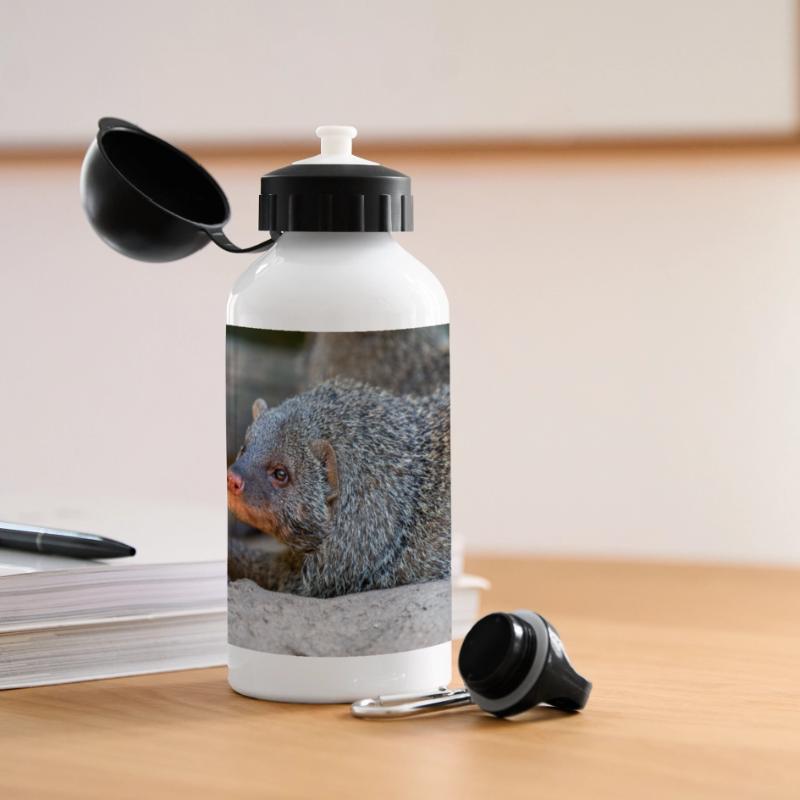 Gebänderte Manguste oder Zebramanguste Zebramanguste Panorama Trinkflasche mit Deckel 500 ml