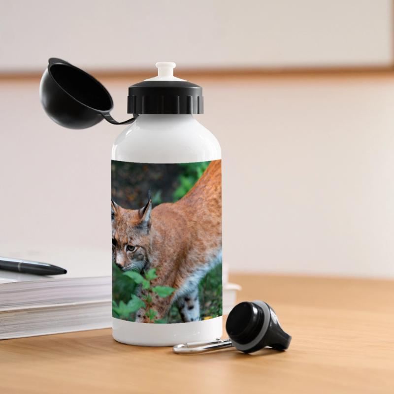 Eurasischer Luchs oder Nördlicher Luchs Panorama Trinkflasche mit Deckel 500 ml