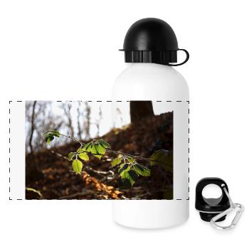 Blätter im Sonnenschein - Panorama Trinkflasche mit Deckel 500 ml - Weiß - Vorne