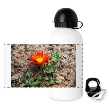 plante de glace rampante rustique carpe rose de glace - Gourde panoramique avec couvercle 500 ml - blanc - Devant