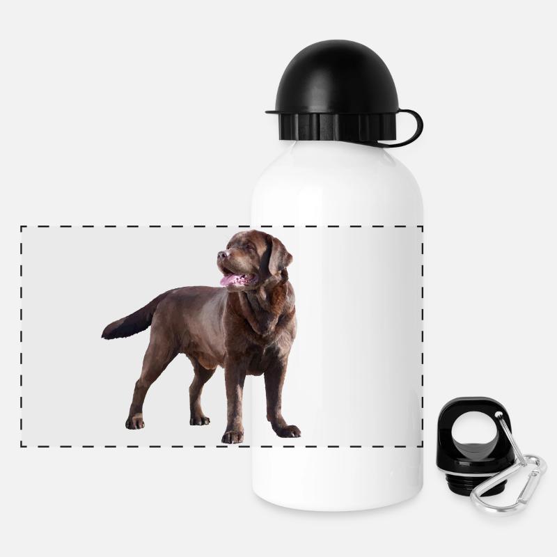 Labrador - Gourde panoramique avec couvercle 500 ml - blanc