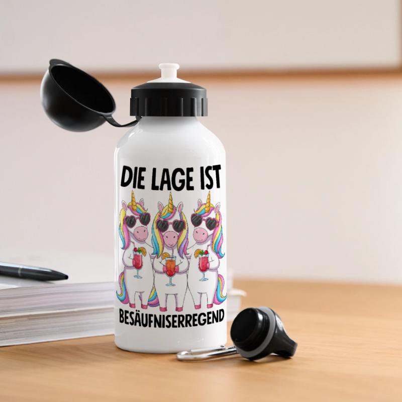 Die Lage Ist Besäufniserregend Panorama Trinkflasche mit Deckel 500 ml