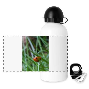Gros plan : Coccinelle sur l’herbe - Gourde panoramique avec couvercle 500 ml - blanc - Devant