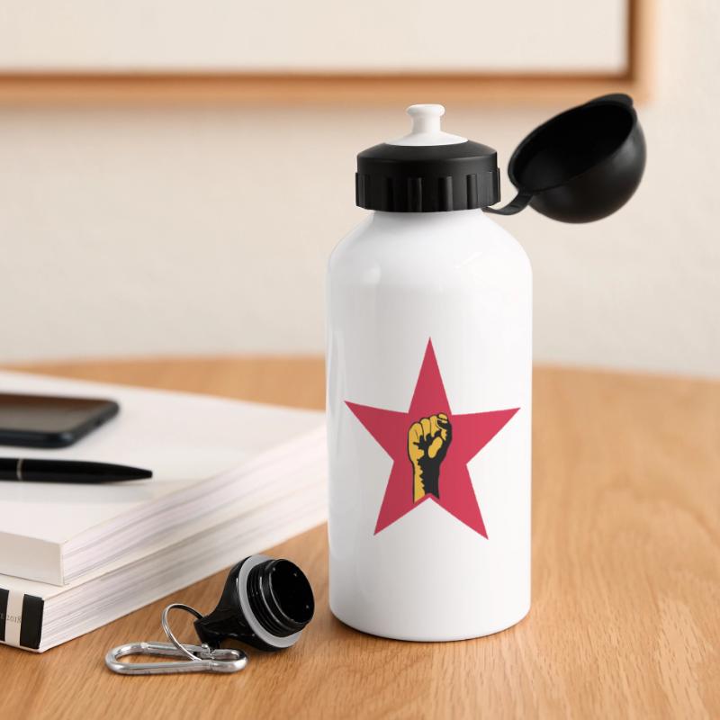 revolution star Panorama Trinkflasche mit Deckel 500 ml