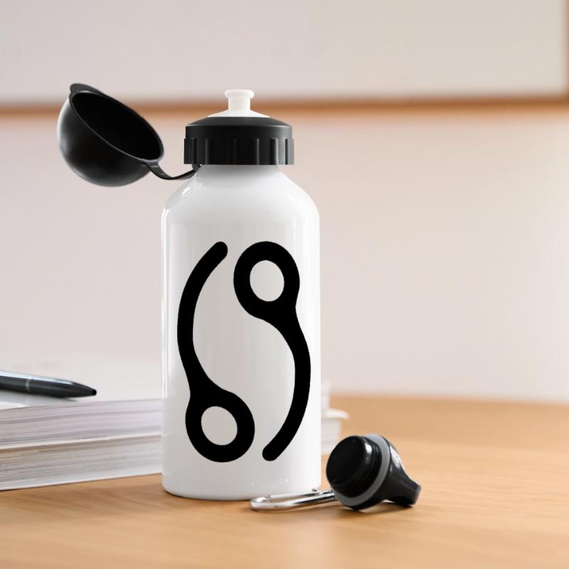 69 Closing Pins Panoramic Thermal Bottle with Lid 500 ml