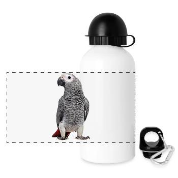 Perroquet gris d’Afrique - Gourde panoramique avec couvercle 500 ml - blanc - Devant