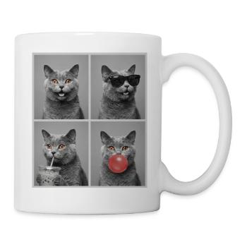 Cats Carthusian Cat - Mug - white - Right