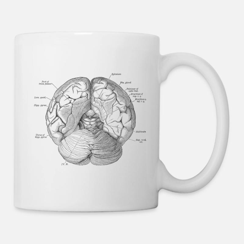 Human Body - Brain vol.4 - Mug - white