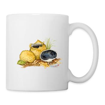 Potato bovist (Scleroderma citrinum) - Mug - white - Right