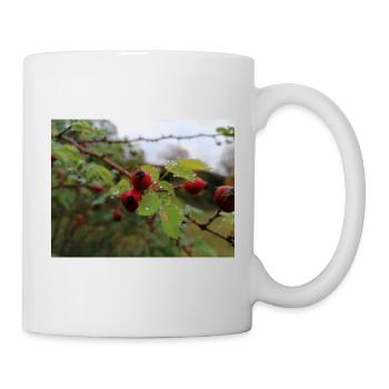 rose hips, nature, plant - Mug - white - Right