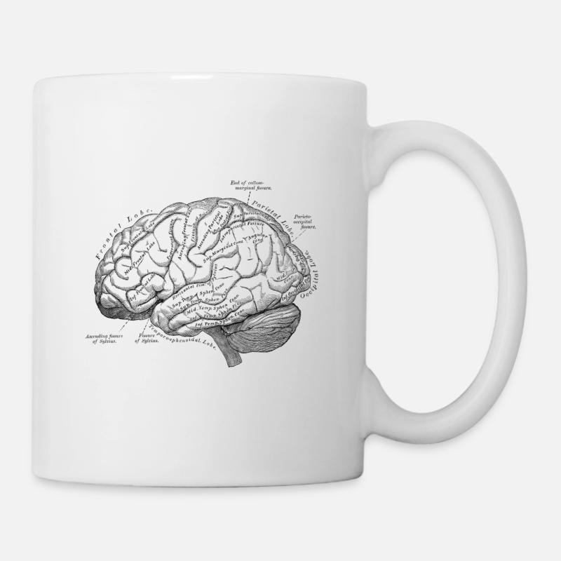 Human Body - Brain - Mug - white