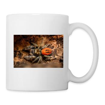 Springspinne Phidippus texanus jumping spider - Mug - white - Right