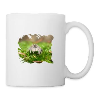 Phidippus texanus jumping spider, spring spinne. - Mug - white - Right