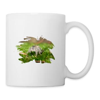 Phidippus texanus jumping spider, spring spinne. - Mug - white - Right