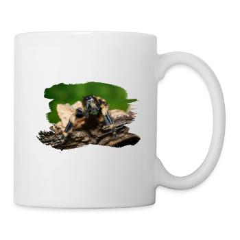 phidippus otiosus jumping spider, spring spinne - Mug - white - Right