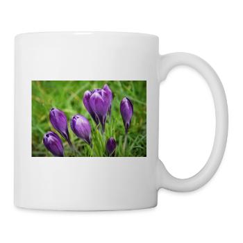 Grappe de crocus violet dans le jardin de printemps - Mug blanc - blanc - Droite