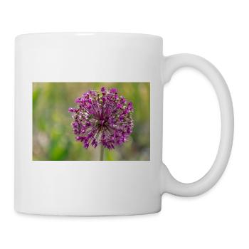 Nahaufnahme einer Lila Blume - Riesenlauchs - Tasse - Weiß - Rechts