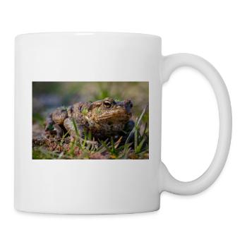 Nahaufnahme einer Erdkröte - Poster - Tasse - Weiß - Rechts
