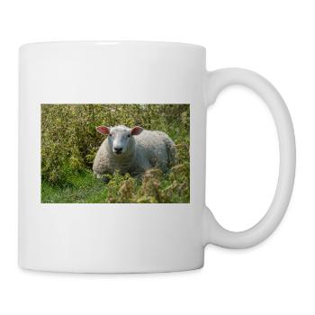 Moutons allongés dans l’herbe - Affiche - Mug blanc - blanc - Droite