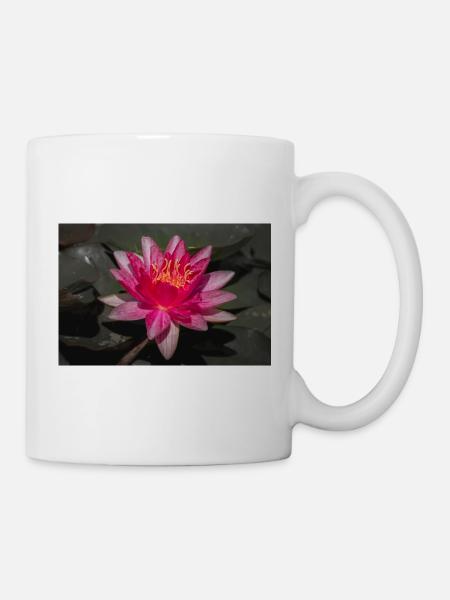 Seerose in Blüte - Nahaufnahme - Tasse - Weiß