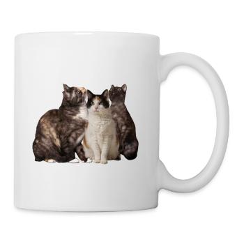 Glückskatzen - Tasse - Weiß - Rechts