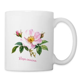 Rosa canina - botanische Illustration, Aquarell - Tasse - Weiß - Rechts