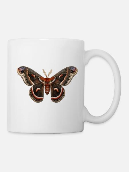 Cecropia Moth Hyalophora cecropia - Mug - white