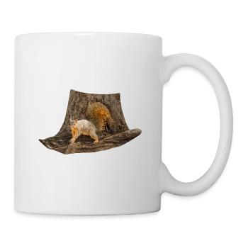 Squirrel in front of the tree, Eastern fox squirrel - Mug - white - Right