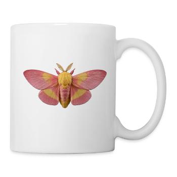Rosy Ahornmotte Dryocampa rubicunda - Tasse - Weiß - Rechts
