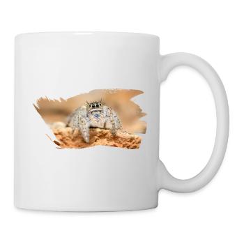 Phidippus texanus jumping spider, spring spinne. - Mug - white - Right