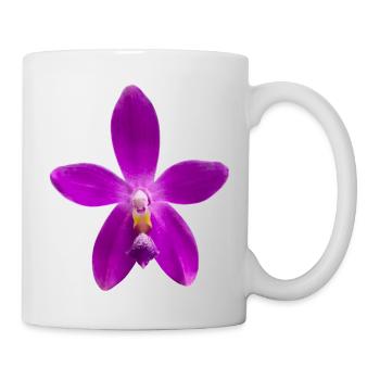 Orchidee Phalaenopsis speciosa x violacea Blüte - Tasse - Weiß - Rechts