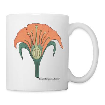 The anatomy of the flower - Mug - white - Right