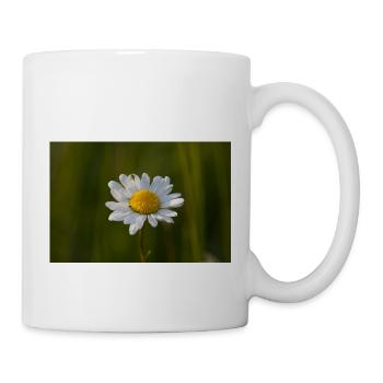 Daisies Marguerite Daisies - Mug - white - Right
