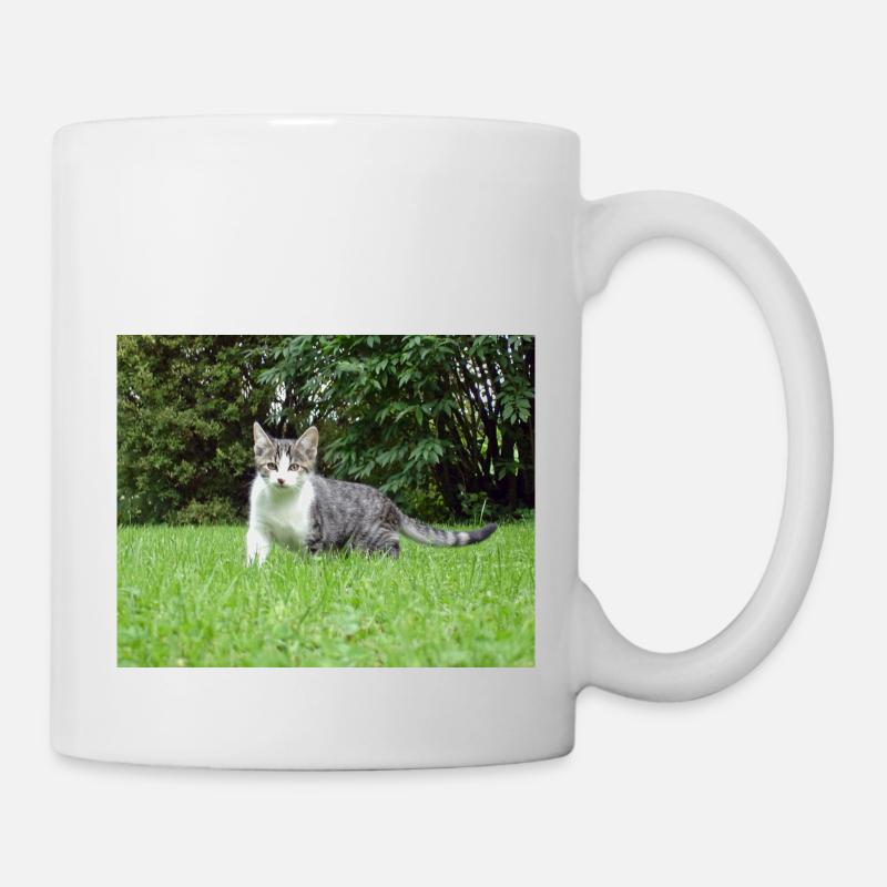 Curious kitten - Mug - white