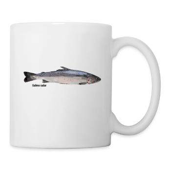 Lachs (Salmo salar) mit weißem Rand - Tasse - Weiß - Rechts