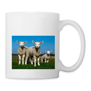 lambs in the pasture - Mug - white - Right