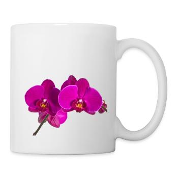 Phalaenopsis - Tasse - Weiß - Rechts