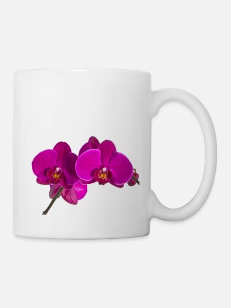 Phalaenopsis - Tasse - Weiß