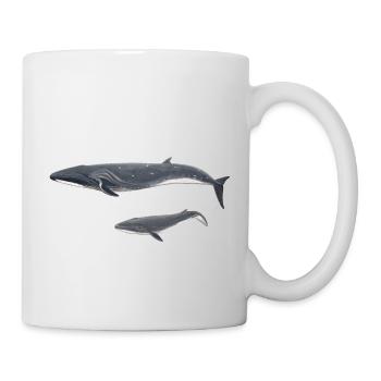 Whale whale Balaenoptera borealis - Mug - white - Right