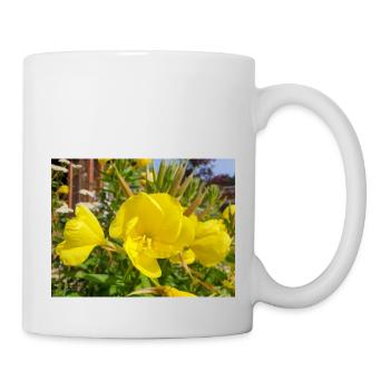 common evening primrose Oenothera biennis - Mug - white - Right