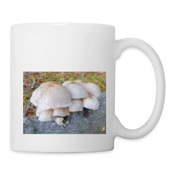 Porzellanpilz auch Porzellanpilz - Tasse - Weiß - Rechts