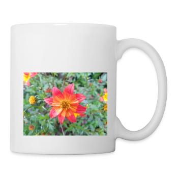 Bidens triplinervia Dreinerviger Zweizahn - Mug blanc - blanc - Droite