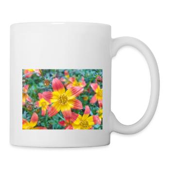 Bidens triplinervia Dreinerviger Zweizahn - Mug blanc - blanc - Droite