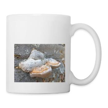 surgeon's agaric also tinder fungus Zunderschwamm - Mug - white - Right