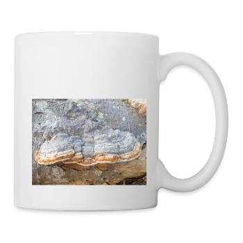 surgeon's agaric also tinder fungus Zunderschwamm - Mug - white - Right