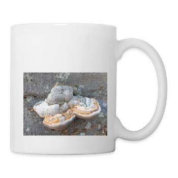 surgeon's agaric also tinder fungus Zunderschwamm - Mug - white - Right