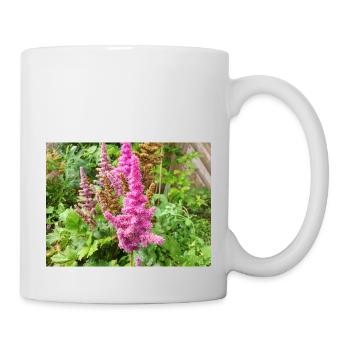 false buck's beard Astilbe japonica - Mug - white - Right